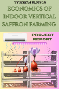 indoor saffron farming