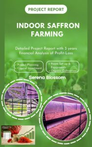 project report saffron